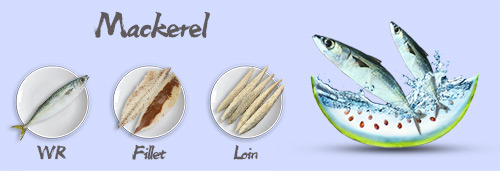 Mackerel.jpg